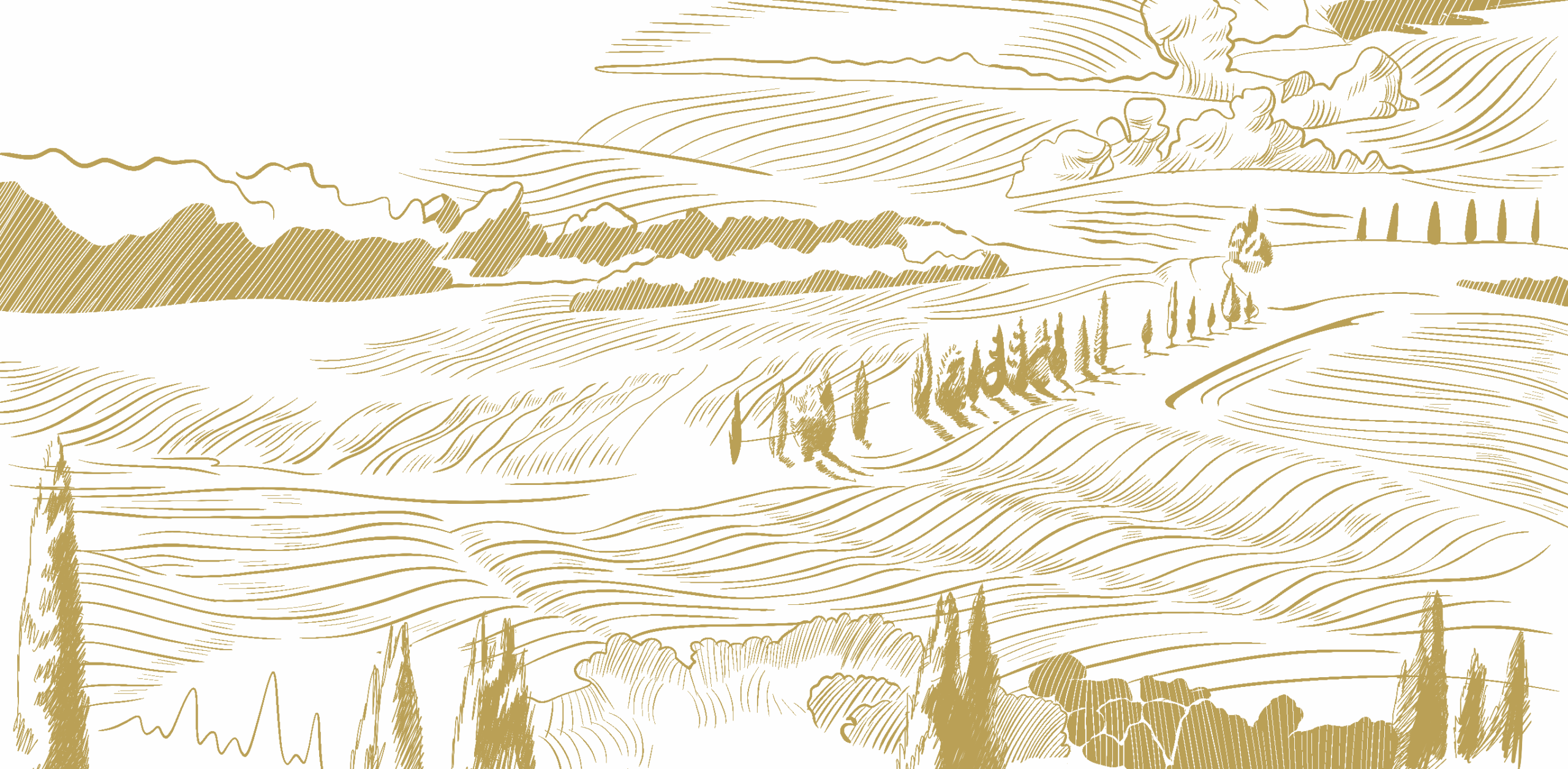 Beautiful shimmered image