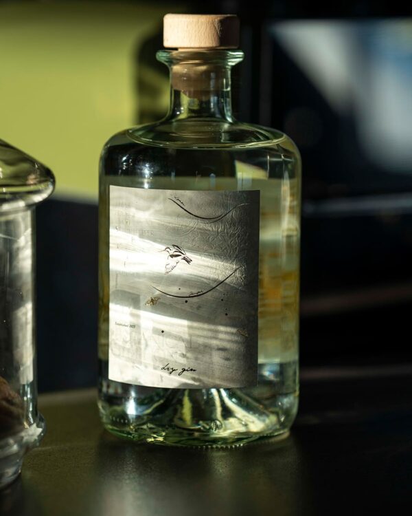 A bottle of Botanical Symphony Dry Gin illuminated by golden sunlight through a window, highlighting the label’s delicate embossed details and minimalist design.