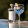 Botanical Symphony Dry Gin beside a crystal gin glass garnished with a lemon slice, placed on a reflective surface outdoors under bright sunlight.