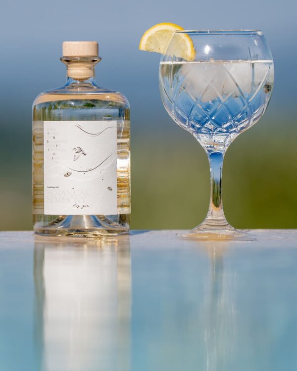 Close-up of Botanical Symphony Dry Gin and a glass of gin and tonic with lemon, set against a blurred blue-sky background and reflective water surface.
