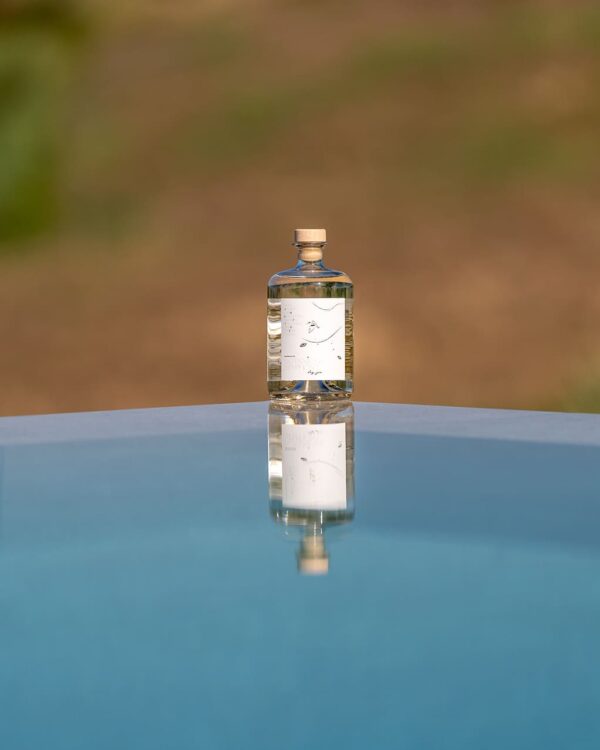 A solitary bottle of Botanical Symphony Dry Gin perfectly reflected on a smooth blue surface, framed by the warm tones of the Tuscan landscape.